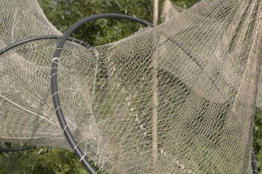 Balıkçı Ağı Rüzgarda Kurutma