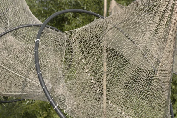 Balıkçı Ağı Rüzgarda Kurutma