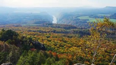 Helikopter ulusal park Sakson İsviçre, Almanya 'da büyük yangınlar sonrasında yanmış ağaçları kaldırıyor, yangın sonrası temizlik ve orman kurtarma çalışmaları sergileniyor.