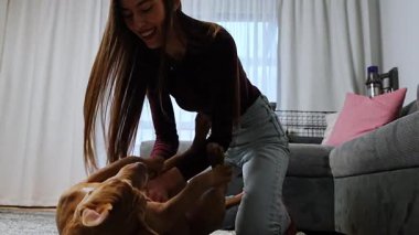 Genç bir kadın evinde oturmuş Amerikan Staffordshire Terrier köpeği ile oynuyor. Sıcak bir ev hayatı, bağ kurma sahnesi köpek ve sahibi arasında olumlu duygular..