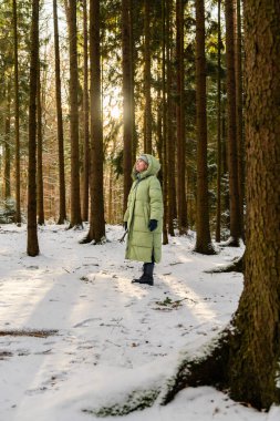Sıcak kış kıyafetleri giymiş sakin genç bir kadın ormanda huzurlu bir yürüyüşün tadını çıkarıyor. Doğal güneş ışığı, karlı manzara konfor, ahenk ve zihinsel sağlığın hislerini uyandırır..