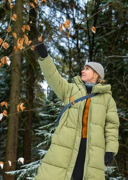 Kış ormanlarında yürürken sıcak giyimli genç bir kadın, nazikçe ağaç dalına dokunuyor. Sakin bir açık hava anı, doğayla bağlantı, kış yaşam tarzı.