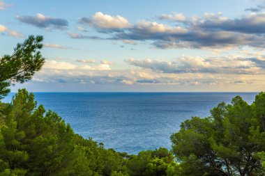 İspanya 'nın Mallorca kentindeki mavi Akdeniz manzaralı yeşil çam ağaçları arasından manzara. Sıcak günbatımı ışığı, doğal manzara, yaz tatili konseptiyle renklendirilmiş yumuşak bulutlar..