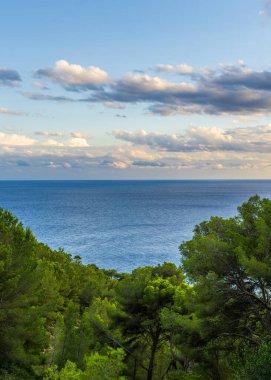 İspanya, Mallorca 'da günbatımı kıyı manzarası yeşil çam ormanları boyunca görülüyor. Akdeniz, yumuşak bulutlar ve altın saat ışığı, seyahat, tatil .