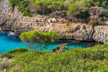 Calo Blanc, Mallorca 'da temiz turkuaz suyla kayalık bir sahil. Akdeniz yaz manzarası, seyahat, turizm ve tatil için mükemmel..
