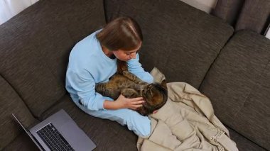 Evdeki kanepede oturan, bacakları battaniyeyle örtülü bir kadın. Yanında dizüstü bilgisayar olan bir kadın. Tekir kedisini nazikçe tutuyor ve onunla konuşurken okşuyor. Üst manzara, evcil hayvanla rahatlatıcı an..