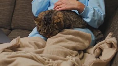 Mutlu kadın battaniyenin altında kanepeye oturmuş akıllı telefonuyla konuşuyor gri tekir kedisini okşuyor, yanında dizüstü bilgisayar açıyor, rahat bir ev hayatı yaşıyor ve modern iletişim kuruyor..