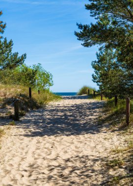 Almanya 'nın Kullanım Adası' ndaki kum tepeleri ve çam ağaçları arasında Baltık Denizi 'ne uzanan sakin bir yol. Mavi gökyüzü ve rahatlatıcı yaz atmosferiyle huzurlu deniz manzarası.
