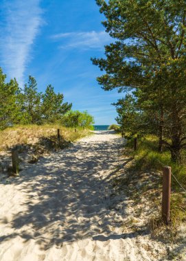 Scenic Baltic Sea view from sand dunes on Usedom Island Germany popular summer travel destination beach vacation leisure and coastal sightseeing