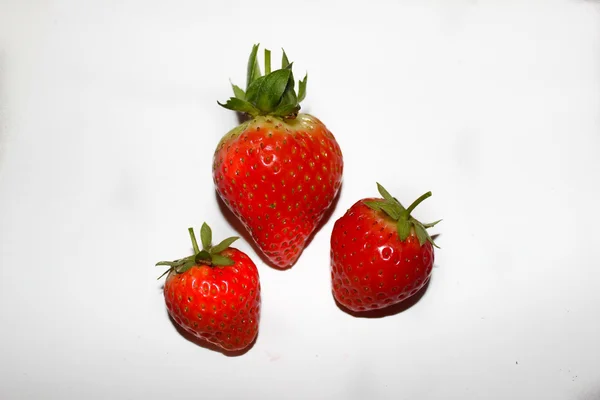 Trois fraises sur fond blanc — Photo