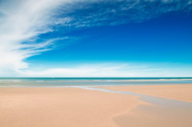 Tropik plaj ve deniz