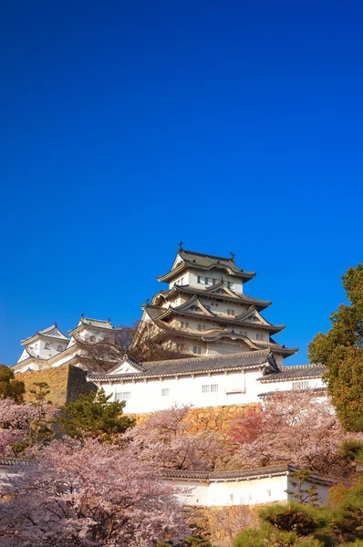 Вишня цвітіння замок Хімедзі в Himeji, Кобе, Японія — стокове фото