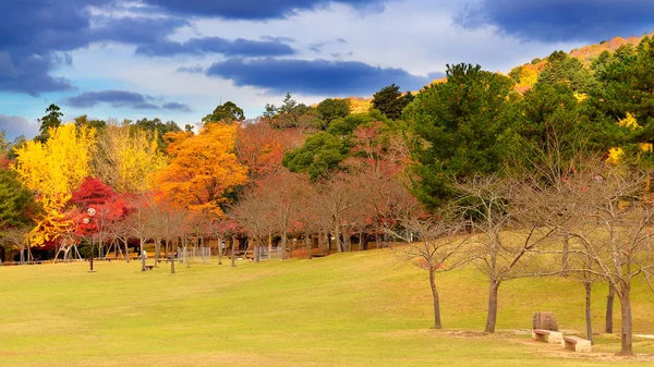 Nara sonbahar renkleri — Stok fotoğraf