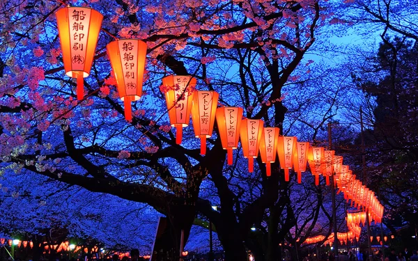 Cherry-Blossom Viewing (Hanami) Festival — Stock Photo, Image