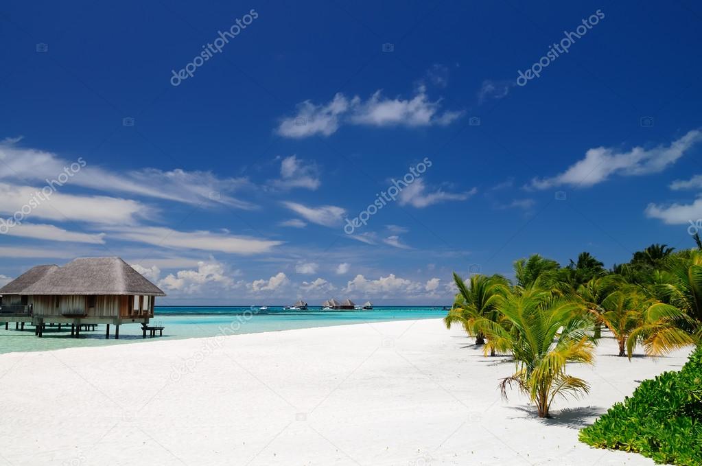 Sunny day on the beach