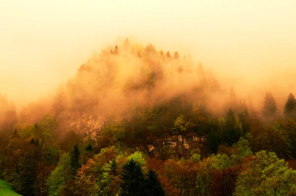 Ομιχλώδες δάσος για ελβετικές Άλπεις — Φωτογραφία Αρχείου