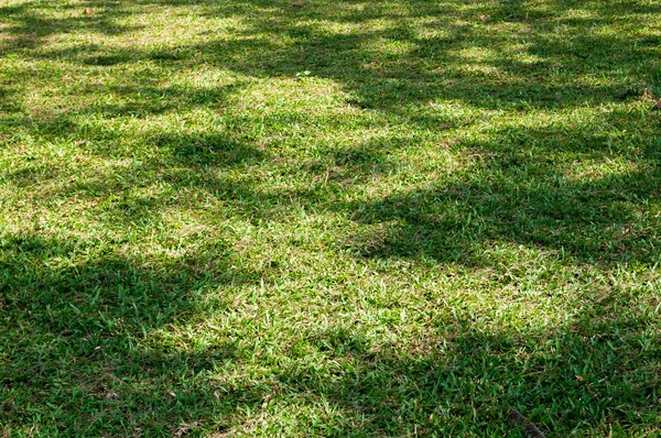 Sombra na grama — Fotografia de Stock