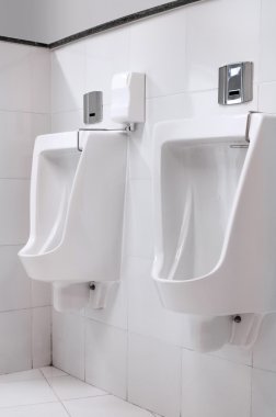 pisuar satır ile modern tuvalet iç