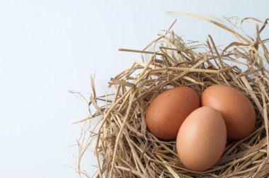 saman üstünde yumurta