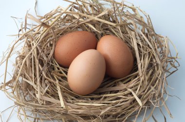 saman üstünde yumurta