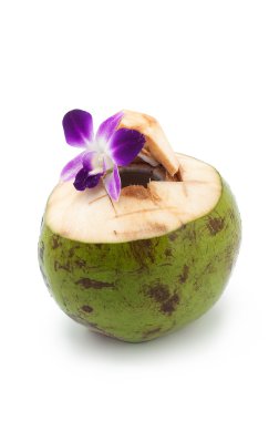 Hindistan cevizi beyaz arkaplanda izole edildi