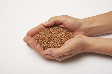 elinde buğday tahıl