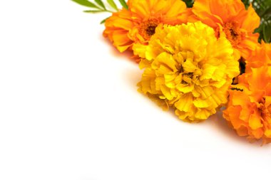 Tebrikler köşedeki çiçekli çerçeve