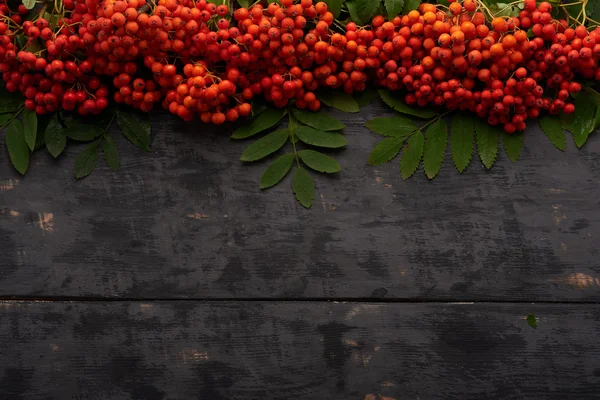 Röd Rönn med blad på bordet — Stockfoto