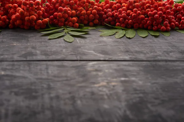 Рябины ягоды на солнце на столе — стоковое фото