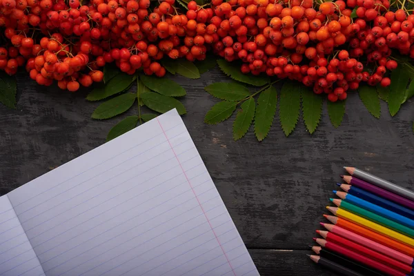 Cuaderno detallado, lápices de colores y ceniza de montaña en la mesa — Foto de Stock