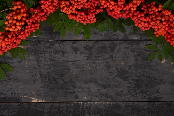 Rönnbär på en trä ram — Stockfoto