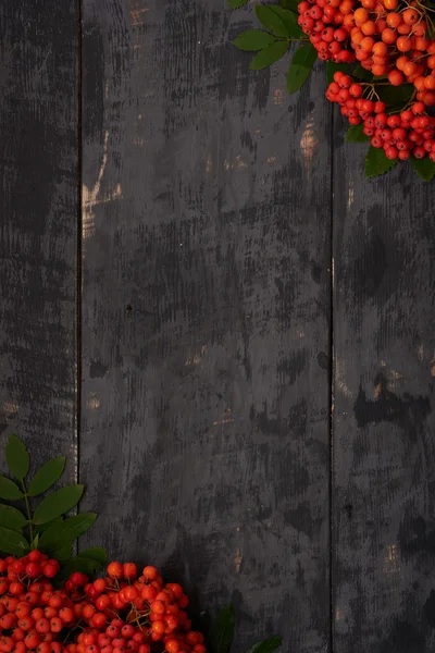 La escena otoñal - el serpentín sobre la mesa de madera — Foto de Stock