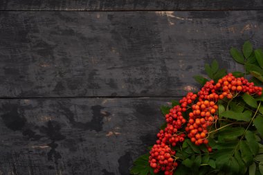 ahşap bir masa köşelerinde üvez meyveleri