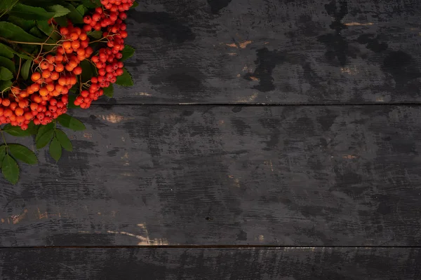 Bayas de rowan en la esquina de fondo de mesa de madera — Foto de Stock