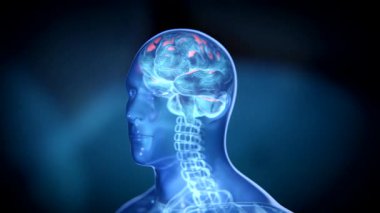 Parlak kırmızı-mavi kablo hologram beyinli yarı saydam insan kafası. 3D canlandırma 4k