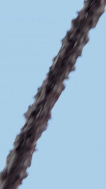 Üç boyutlu şampuan ya da saç tellerini besleyen serum animasyonu, hasarlı saç yapısının onarımı, dayanıklılığın artırılması, pürüzsüzlük ve sağlıklı parlaklık. Saç bakımı güzellik konsepti.