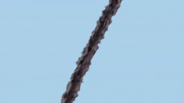 Üç boyutlu şampuan ya da saç tellerini besleyen serum animasyonu, hasarlı saç yapısının onarımı, dayanıklılığın artırılması, pürüzsüzlük ve sağlıklı parlaklık. Saç bakımı güzellik konsepti.