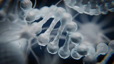 Biyolojik DNA arka planına sahip bir sinir hücresinin nörobilim, genetik, nöral iletişim, tıbbi araştırma ve biyoteknoloji kavramlarını gösteren üç boyutlu hareket grafiği..