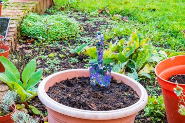 Bahçe kovasında renkli mala, bahçıvanlık ya da kendine yetme konsepti