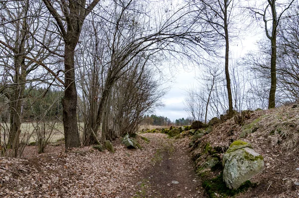 Campagna vecchia strada di campagna in autunno — Foto Stock