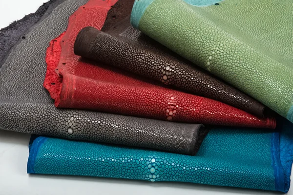 Stingray δέρμα σε 5 χρώματα — Φωτογραφία Αρχείου