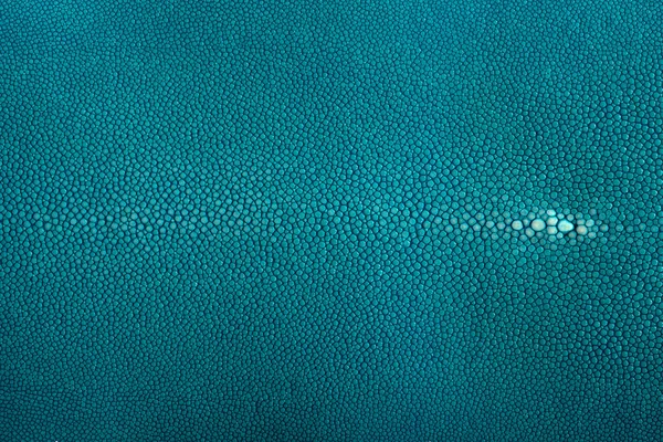Stingray leather color — Stock Photo, Image