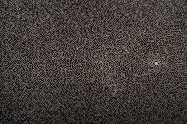 Stingray leather color — Stock Photo, Image