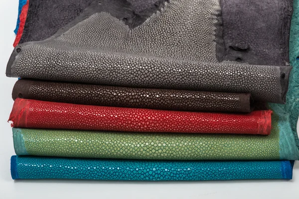 Stingray läder färg — Stockfoto