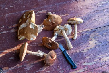 Mantar ve bir ahşap zemin üzerinde bıçak