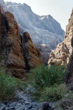 Dağ gorge yolundaki