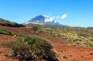 Küçük bush ve volkan içinde belgili tanımlık geçmiş 