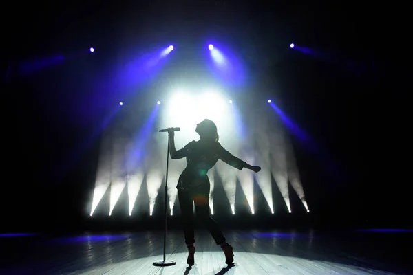 Silhouette of singer on stage. Dark background, smoke, spotlights.