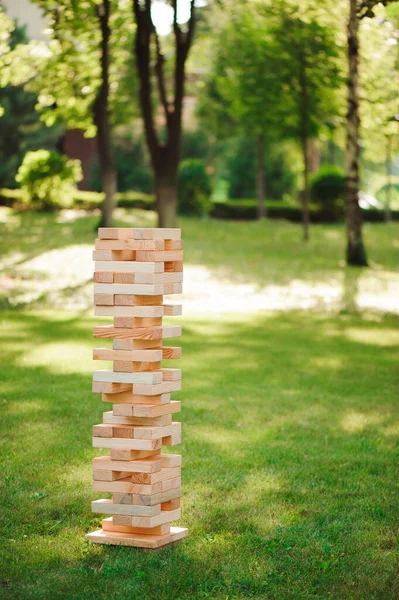 Blocks wood game on the green grass.