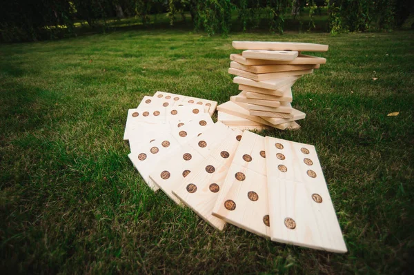 Outdoor games - dominoes in the park on the green grass.